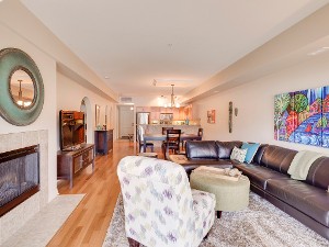 Living Rooms with Gas Fireplaces